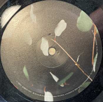 LP Wet: Don't You