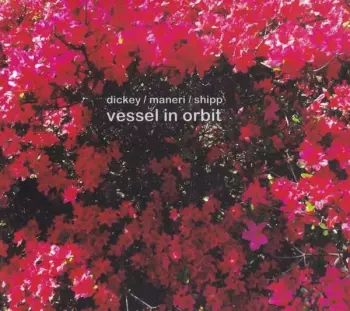 Vessel In Orbit