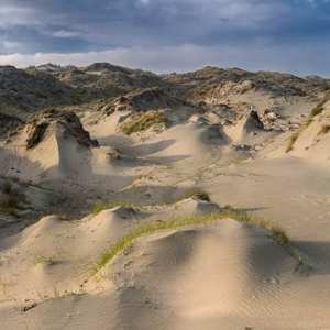 Album White Manna: Dune Worship