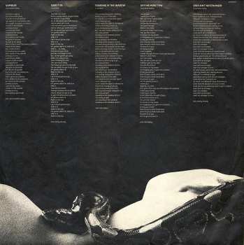 LP Whitesnake: Slide It In