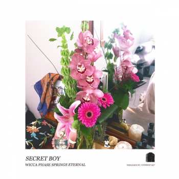 Album Wicca Phase Springs Eternal: Secret Boy