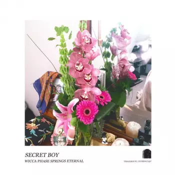Wicca Phase Springs Eternal: Secret Boy