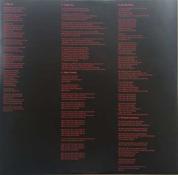 LP Wild Beasts: Boy King