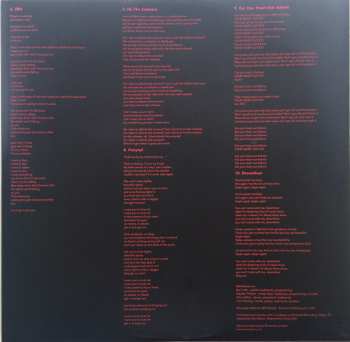 LP Wild Beasts: Boy King