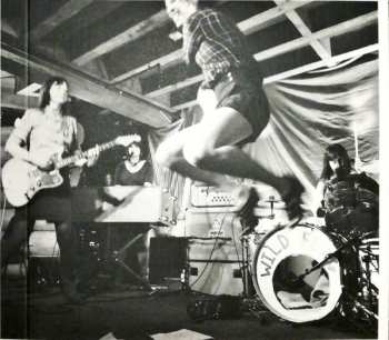 CD Wild Flag: Wild Flag