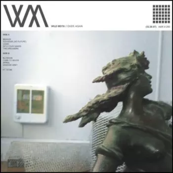 Wild Moth: Over, Again