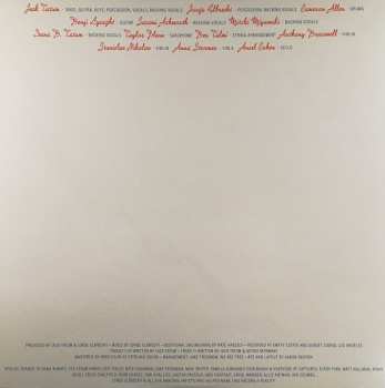LP Wild Nothing: Indigo