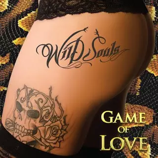 Wild Souls: Game Of Love