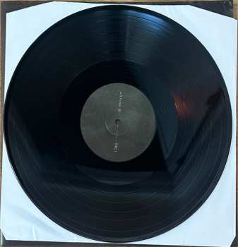 LP Will Haven: VII