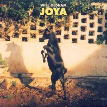 Joya