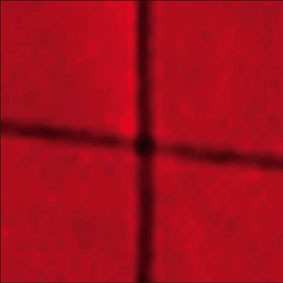 Album William Basinski: A Red Score In Tile