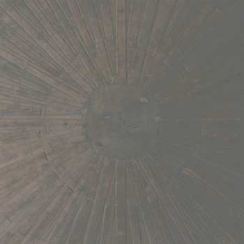 CD William Basinski: Selva Oscura