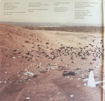 2LP William Tyler: Impossible Truth