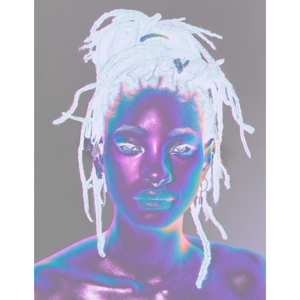 LP Willow: Willow