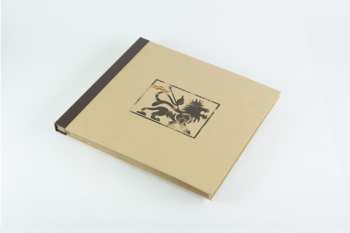 4LP/Dobozkészlet Wingless Angels: Wingless Angels (Volumes I & II) DLX | LTD | CLR