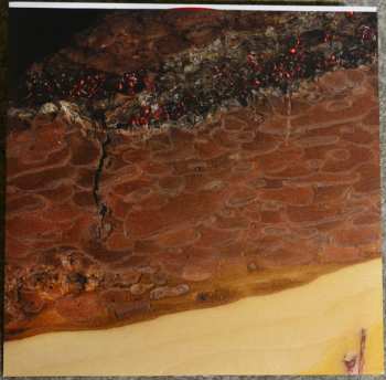 LP Wintersleep: Untitled LTD