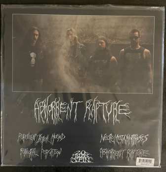 LP Witch Vomit: Abhorrent Rapture LTD | CLR