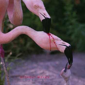 Album Without Waves: Comedian