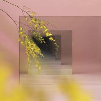 Album Witxes: Orients