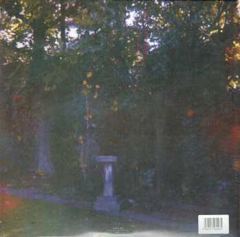 2LP Wolf Alice: Visions Of A Life