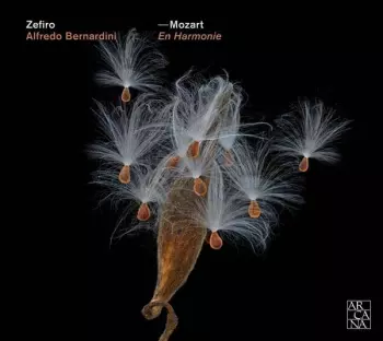 Mozart