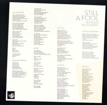 2LP Wolfgang Bernreuther: Still A Fool LTD | DLX
