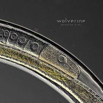 CD Wolverine: Machina Viva