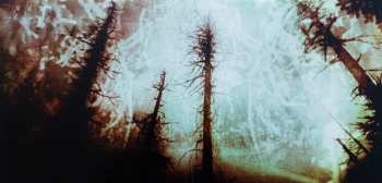 2LP Wolves In The Throne Room: Celestial Lineage