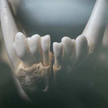 LP Wolves In The Throne Room: Primordial Arcana CLR