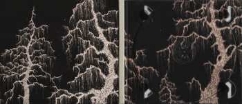 CD Wolves Like Us: Late Love