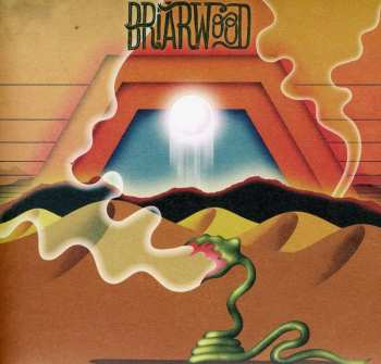 CD Wooden Wand: Briarwood