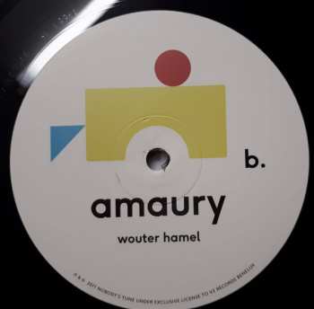 LP/CD Wouter Hamel: Amaury