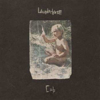 CD Wunderhorse: Cub