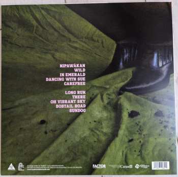 LP Wyatt C. Louis: Chandler CLR | LTD