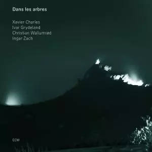 Dans Les Arbres: Dans Les Arbres