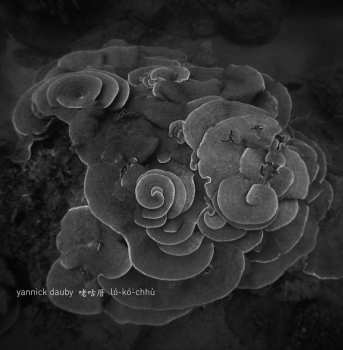 LP Yannick Dauby: 咾咕厝 ló​-​kó͘​-​chhù - Penghu Experimental Sound Studio Vol​.​2