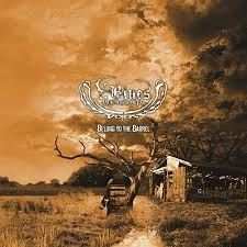 Album Y.Blues: Belong To The Barrel