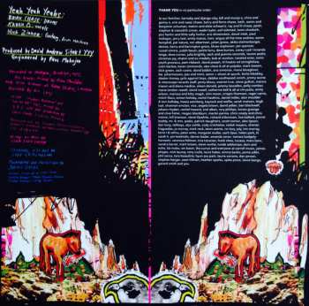 LP Yeah Yeah Yeahs: Fever To Tell