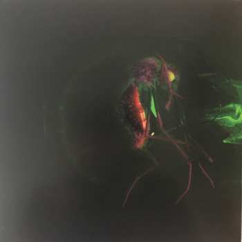 LP Yeah Yeah Yeahs: Mosquito