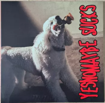 Yesnomaybe: Yesnomaybe Sucks