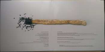 2LP Yo La Tengo: Popular Songs