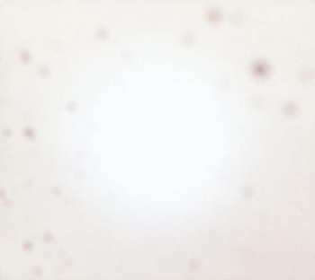 2LP Yo La Tengo: There's A Riot Going On