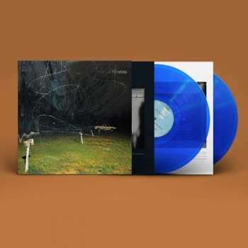 2LP Yo La Tengo: This Stupid World CLR | LTD