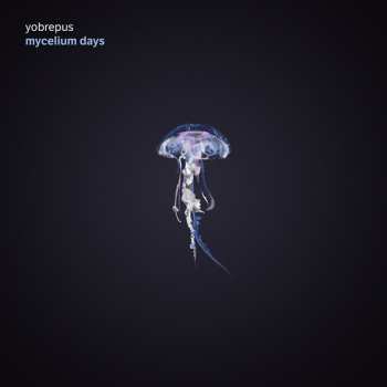 CD Yobrepus: Mycelium Days