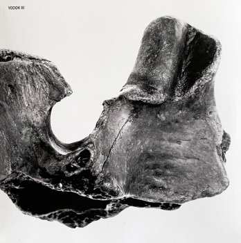 3CD/Dobozkészlet Yodok III: YODOK III LTD | DLX