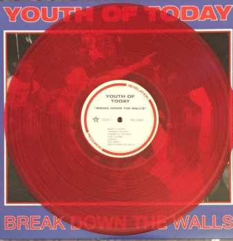 LP Youth Of Today: Break Down The Walls