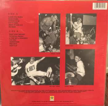 LP Youth Of Today: We're Not In This Alone CLR