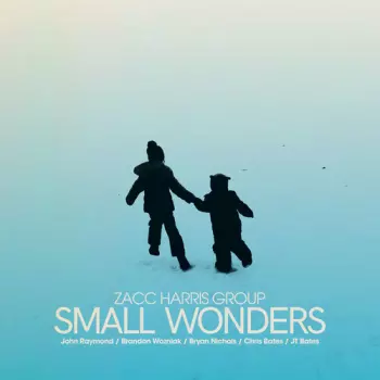 Zacc Harris Group: Small Wonders