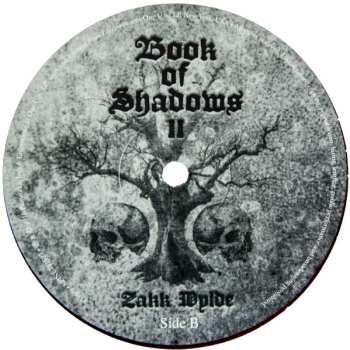 2LP Zakk Wylde: Book Of Shadows II