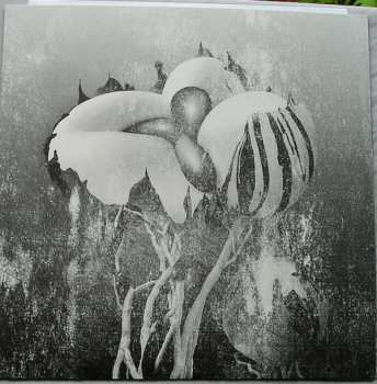 LP Ziúr: Antifate CLR